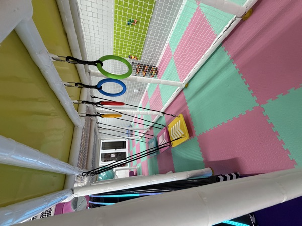 Playground Obstacle Course, Bridges & Rings